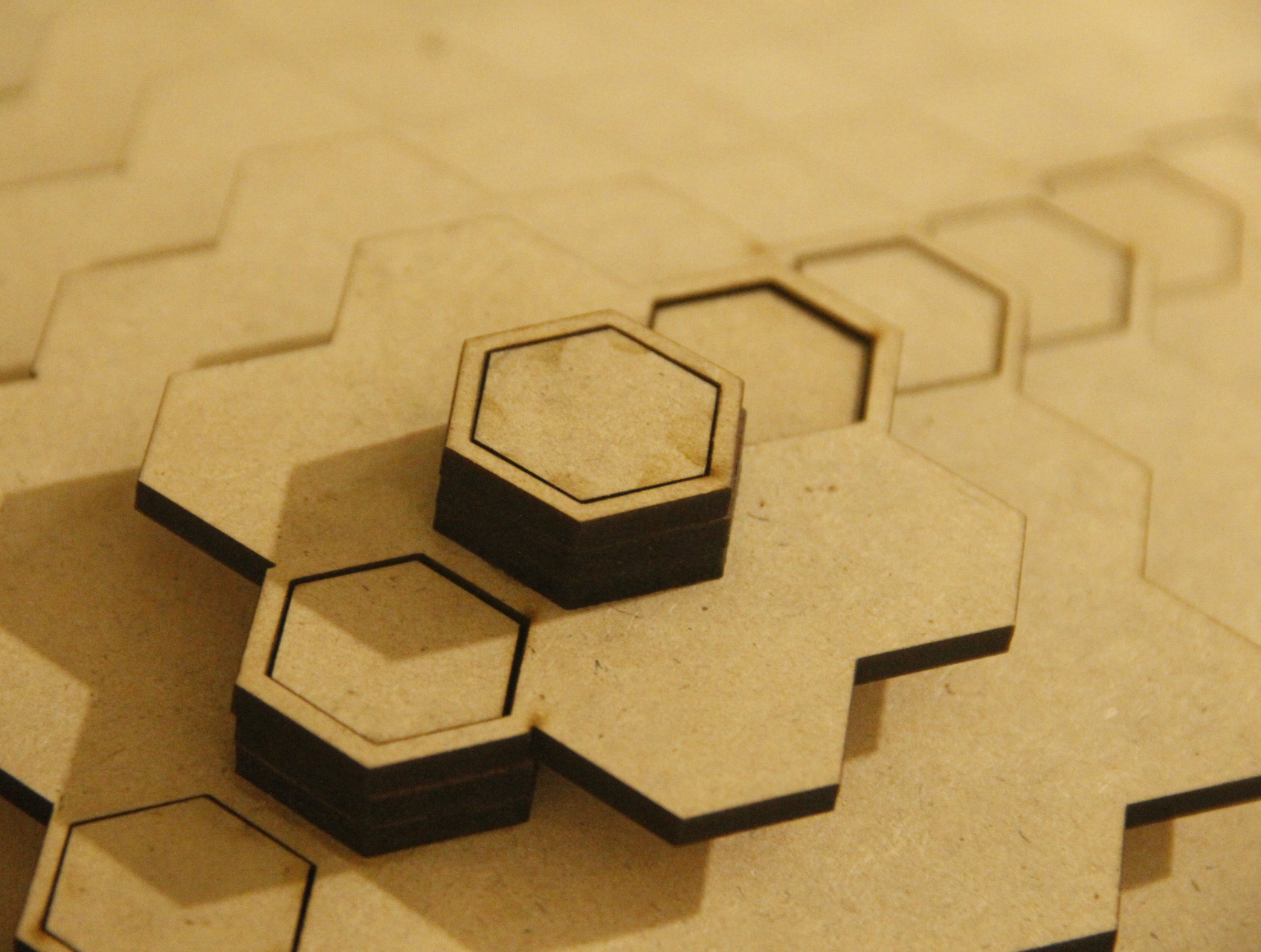 Project Image 1