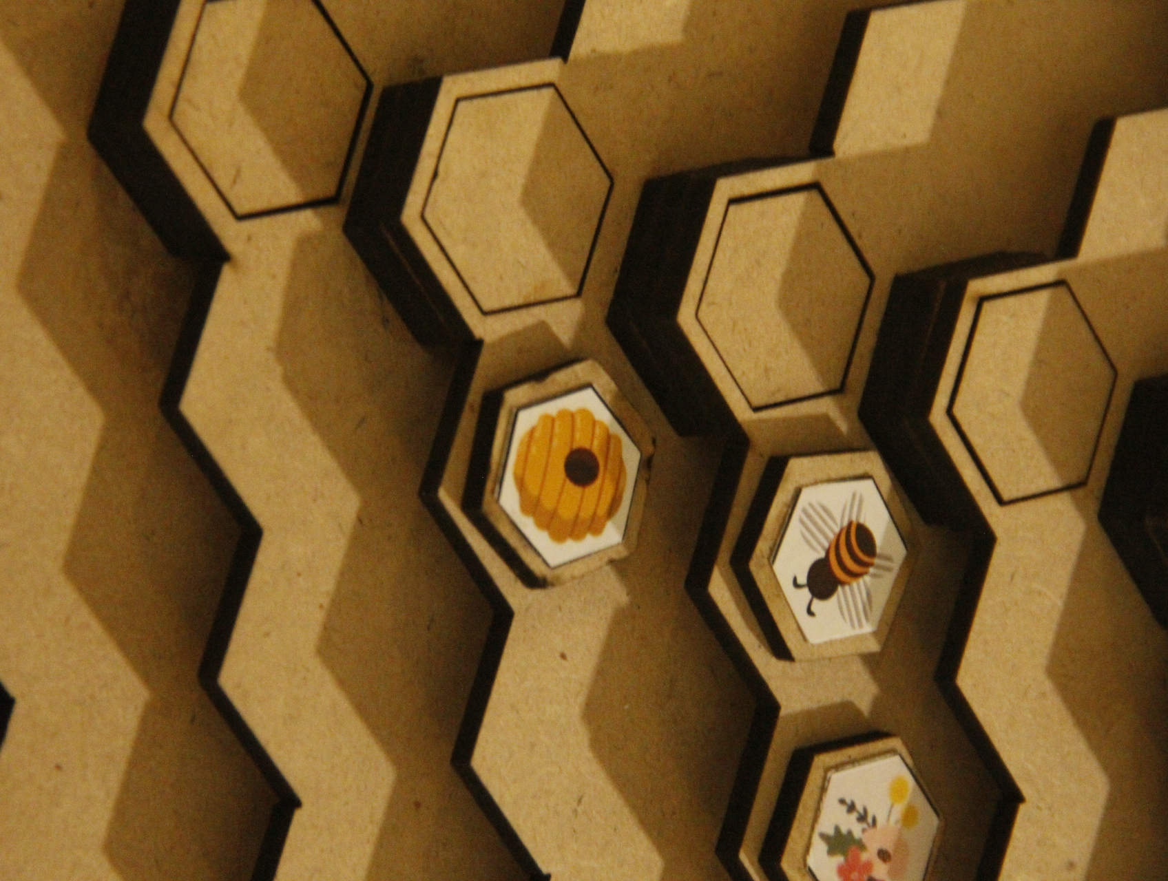 Project Image 1