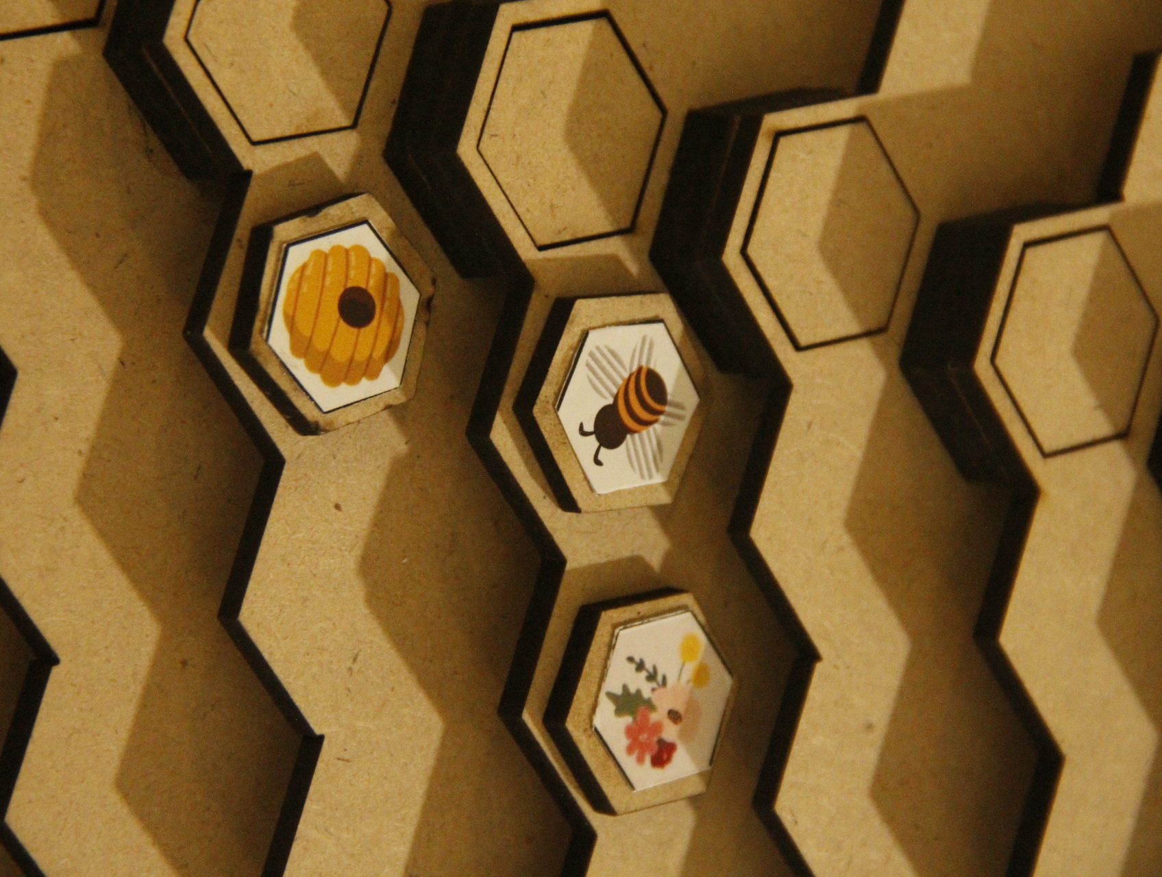 Project Image 1