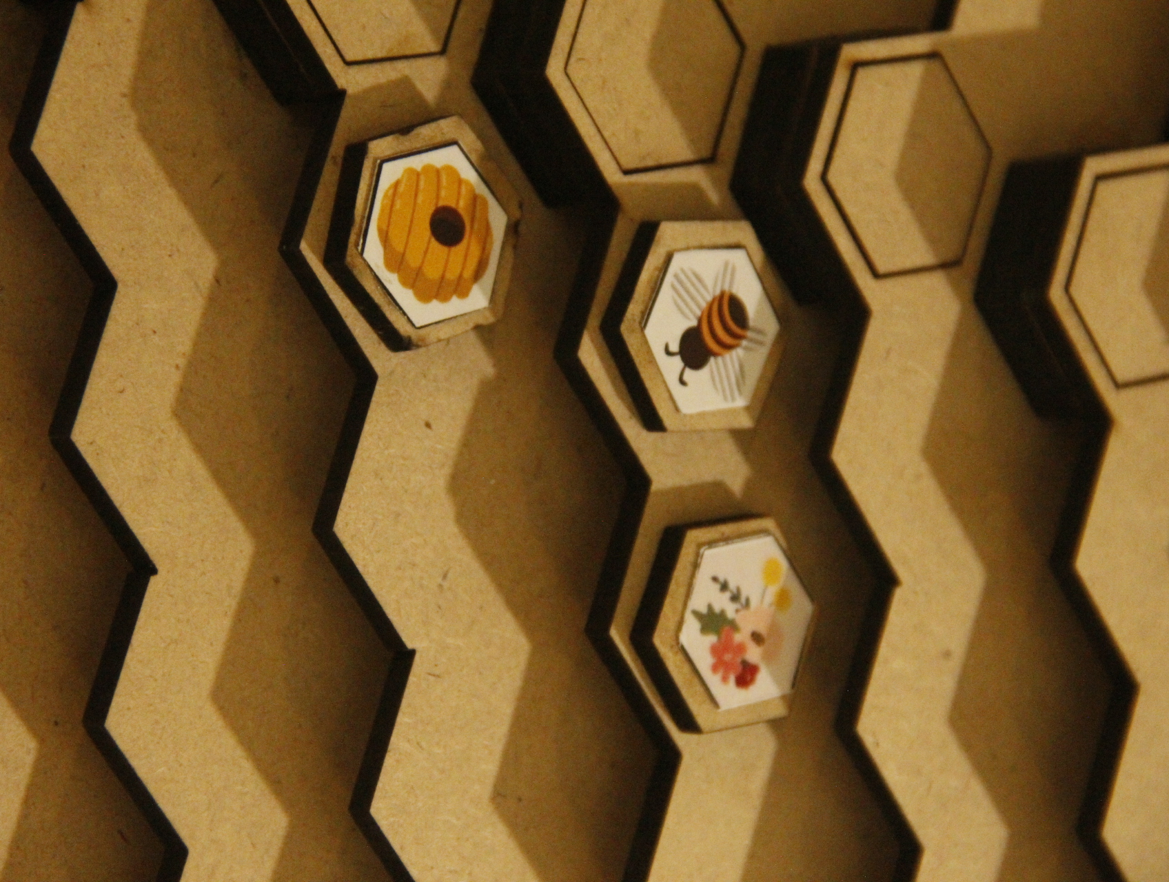 Project Image 1