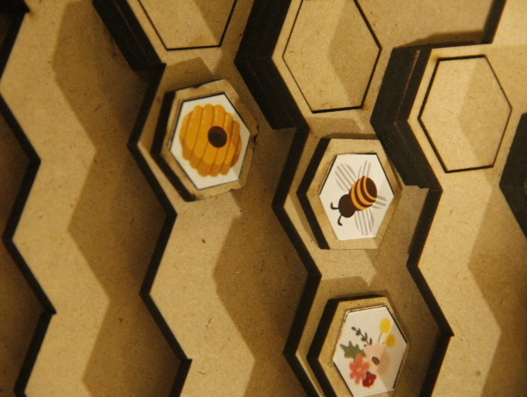 Project Image 1