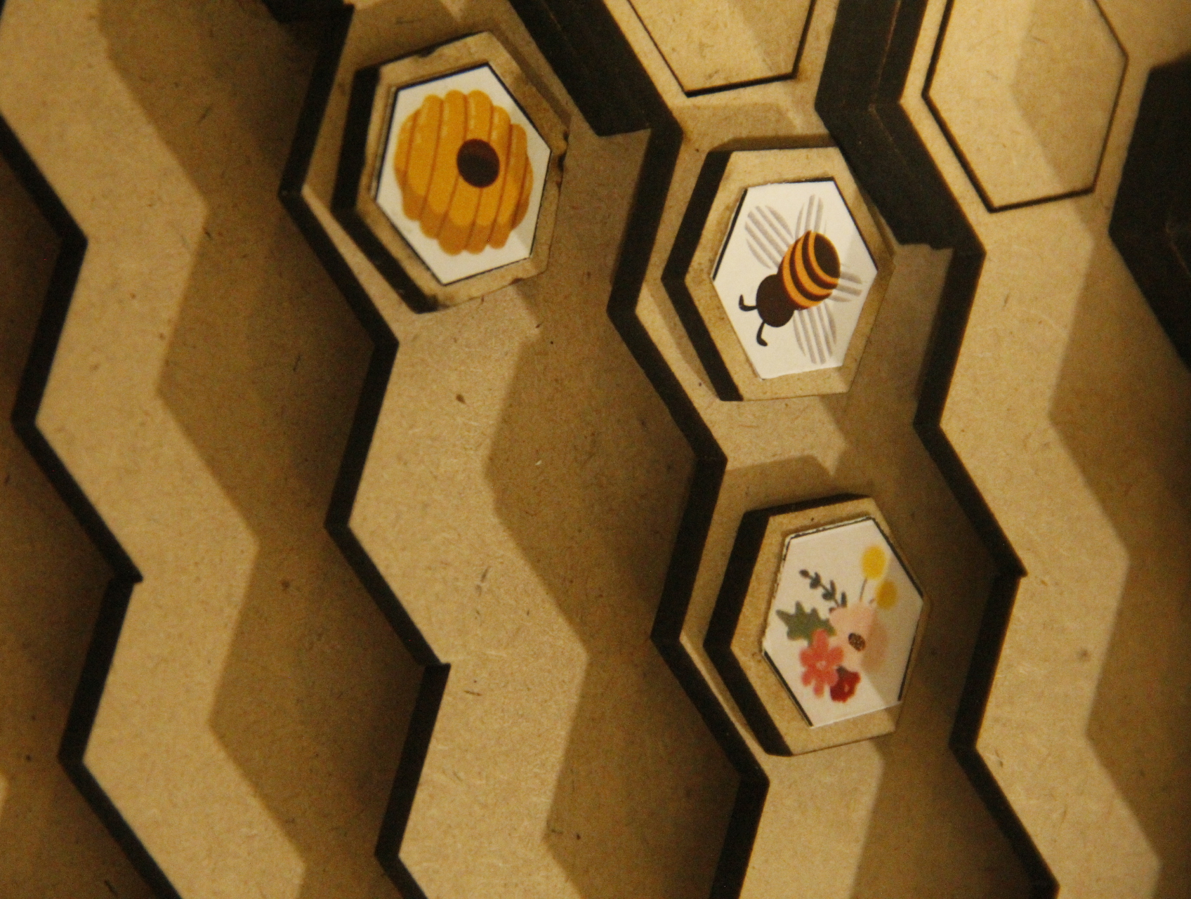 Project Image 1